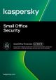 Small Office KASPERSKY ESD (KL4541ZDNTS)