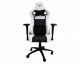 Silla Gamer Naceb Technology RAVEN (NA-0939B)