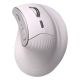 Mouse ACTECK MI770  (AC-936217)