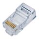 Conector Red RJ45 Qian NW5100 (NW5100)