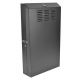 Gabinete SmartRack TRIPP-LITE SRWF6U36 (SRWF6U36)