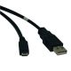 Cable USB 2.0 de Alta Velocidad TRIPP-LITE U050-006 (U050-006)